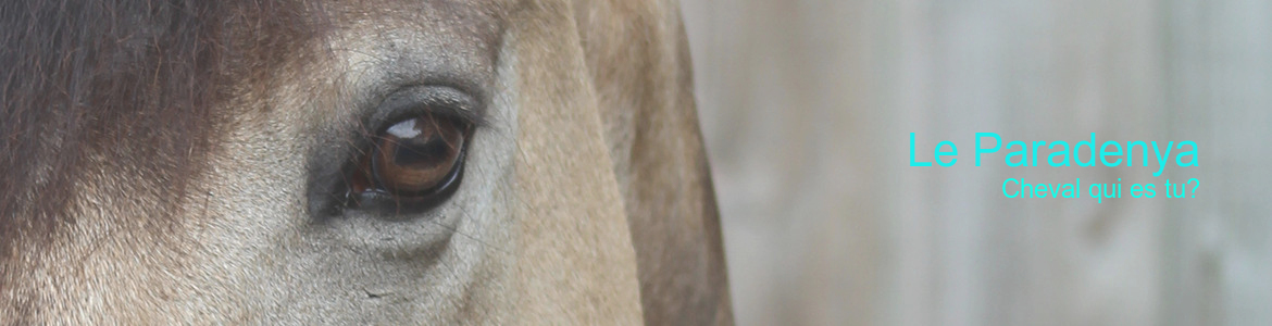 Le Paradenya